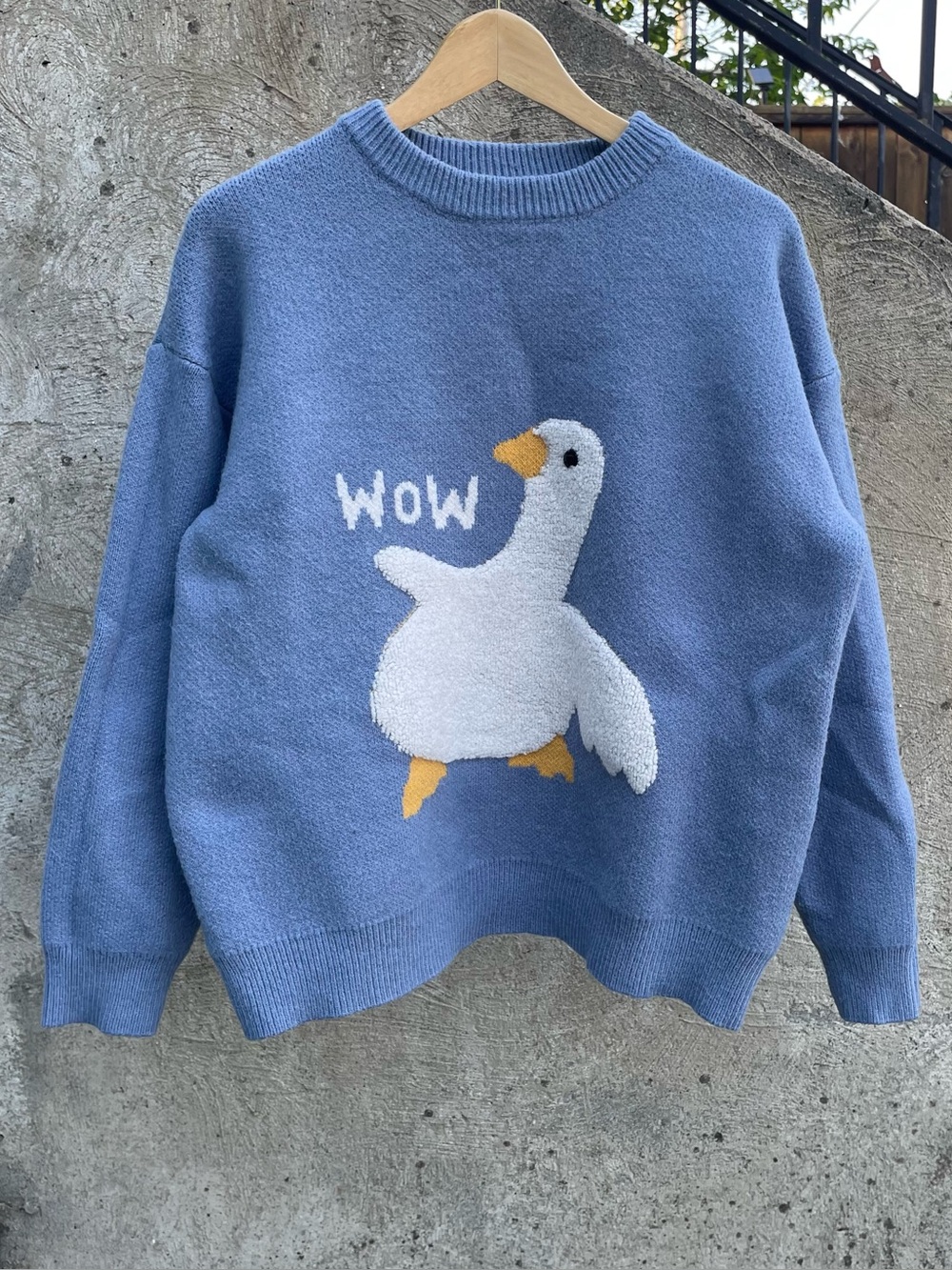 Blue Aelfric Eden “wow” goose sweater size XL (may run smaller)